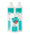 Gel Inibsa Duplo 2000 Ml + Obsequio 200 Ml