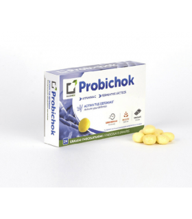 Saludbox Probichok 24 Grageas