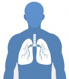 Respiratory Apparatus