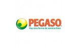 Pegaso