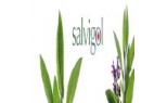 Salvigol